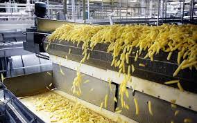 What equipment do you need to set up a French fries plant?