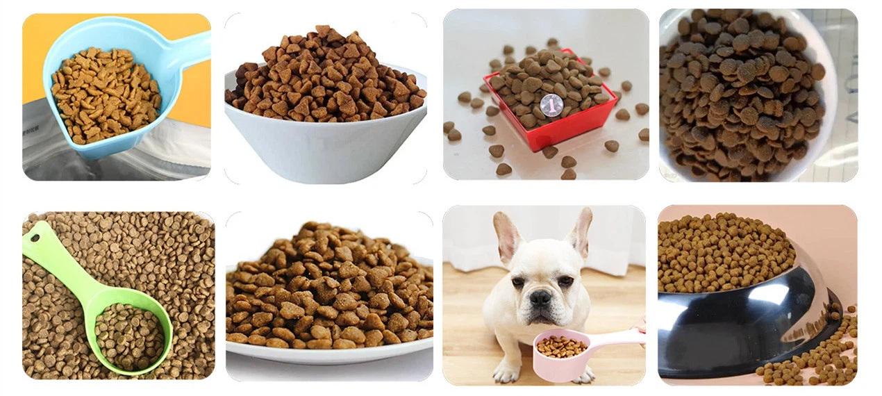 Pet Food Production Line - Puffed Food Production Line - 1