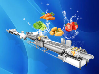 Vegetable Washing Production Line