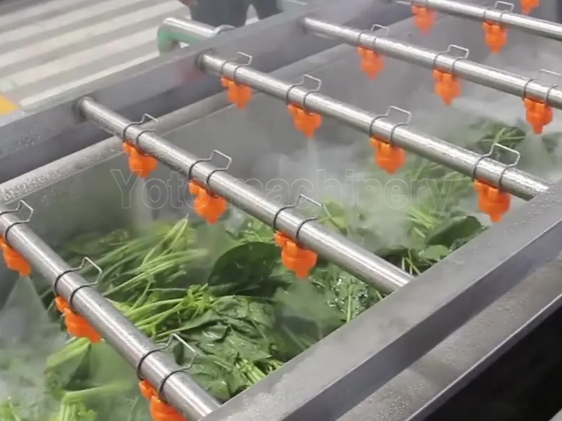 Ligne de production de lavage de légumes